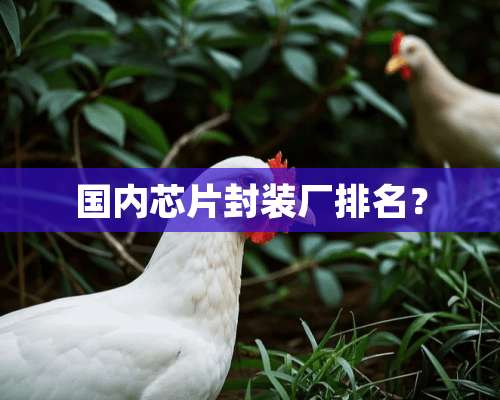 国内芯片封装厂排名？