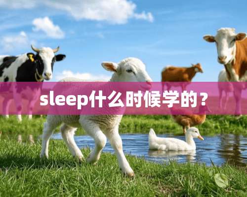 sleep什么时候学的？