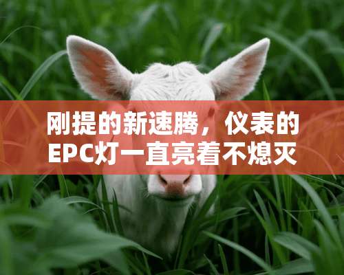 刚提的新速腾，仪表的EPC灯一直亮着不熄灭怎么回事啊。