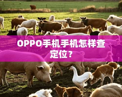 OPPO手机手机怎样查定位？