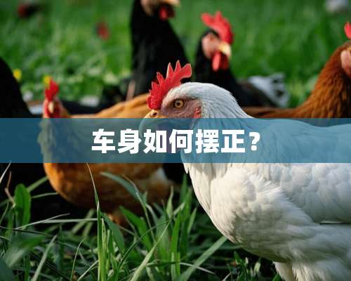 车身如何摆正？