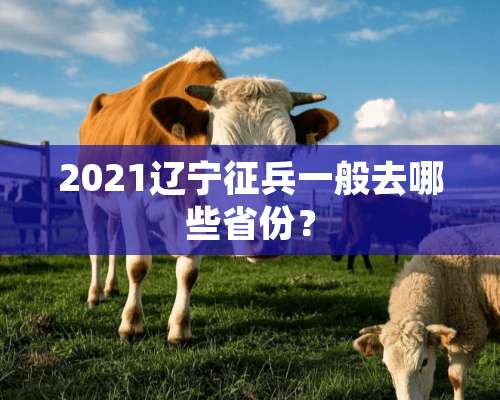 2021辽宁征兵一般去哪些省份？