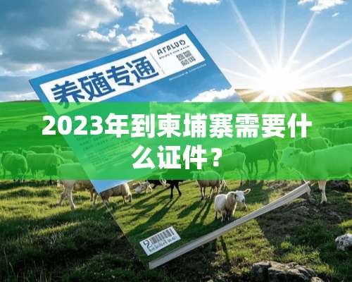 2023年到柬埔寨需要什么**？