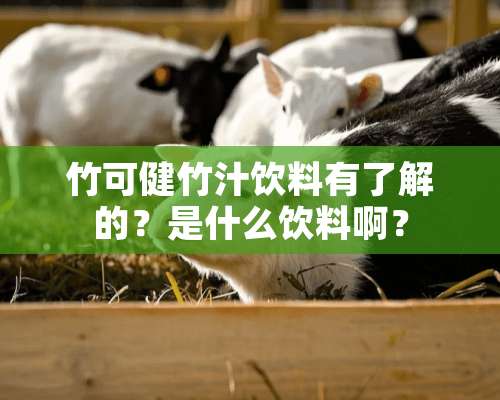 竹可健竹汁饮料有了解的？是什么饮料啊？