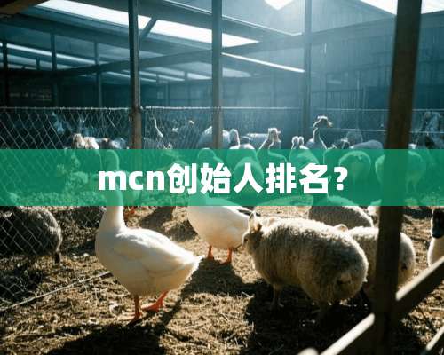 mcn创始人排名？