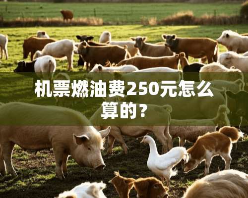 机票燃油费250元怎么算的？