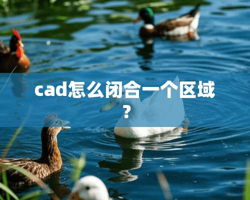 cad怎么闭合一个区域？