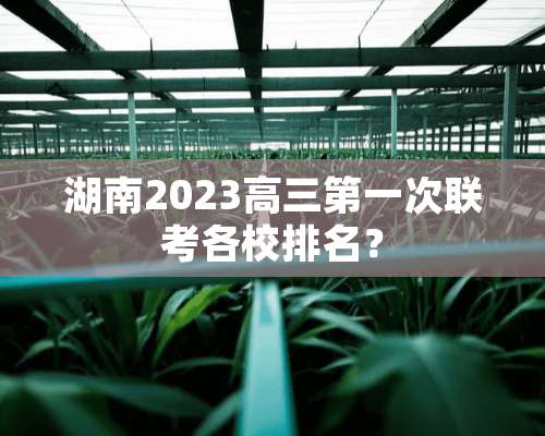 湖南2023高三第一次联考各校排名？