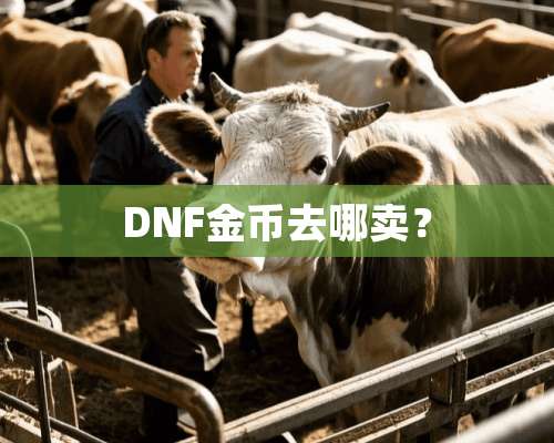 DNF金币去哪卖？