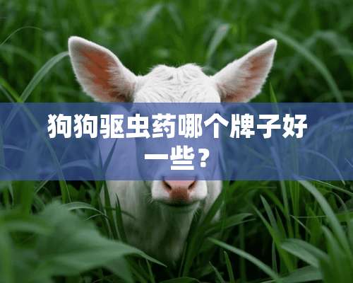 狗狗驱虫药哪个牌子好一些？