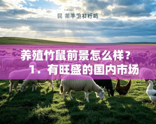 养殖竹鼠前景怎么样？　　1．有旺盛的国内市场。　　在国内竹鼠已步入我国南方及西部地区的大中城市和城镇和消费市场，需求量每年以3％的速度递增。在深圳、珠海、香港、广州、海南、上海等沿海大中城市商品竹鼠销售一直看好，价格始终呈现坚挺的态势，销价每公斤80～100元。一只1公斤重的烧烤竹鼠销价为200多元。特别是春节前后，竹鼠销势更旺，价格上扬，货源紧缺。据不完全统计，四川、云南、贵州、湖南、江西、广西、广东、海南、香港、福建、上海等地每年要消费竹鼠600多万只，而目前，全国竹鼠的生产量远远不能满足市