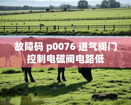 故障码 p0076 进气阀门控制电磁阀电路低