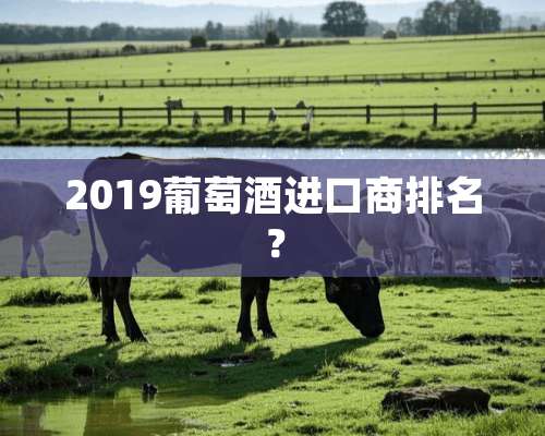 2019葡萄酒进口商排名？