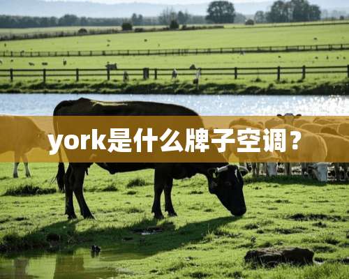 york是什么牌子空调？