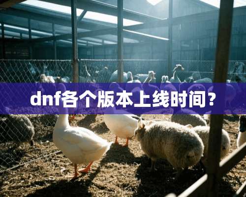 dnf各个版本上线时间？