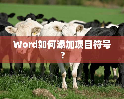 Word如何添加项目符号？