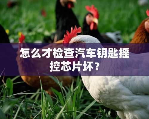 怎么才检查汽车钥匙摇控芯片坏？