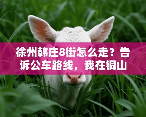 徐州韩庄8街怎么走？告诉公车路线，我在铜山新区这边？