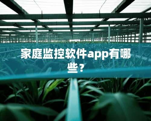 家庭监控软件app有哪些？