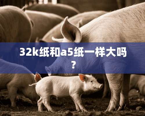 32k纸和a5纸一样大吗？