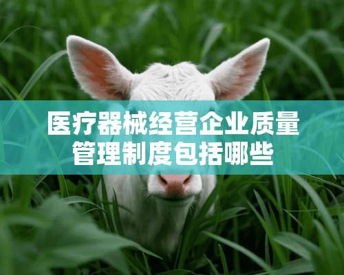 医疗器械经营企业质量管理制度包括哪些