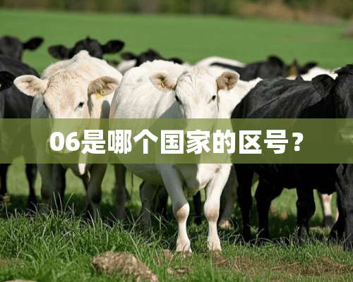 06是哪个国家的区号？