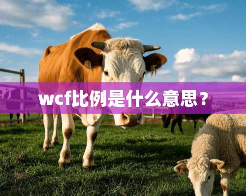 wcf比例是什么意思？