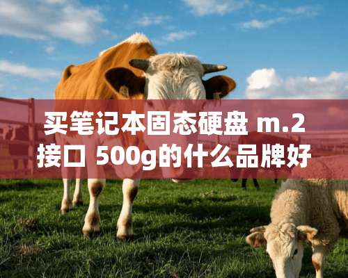 买笔记本固态硬盘 m.2接口 500g的什么品牌好，稳定一点？