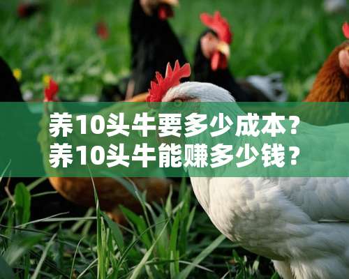 养10头牛要多少成本？养10头牛能赚多少钱？