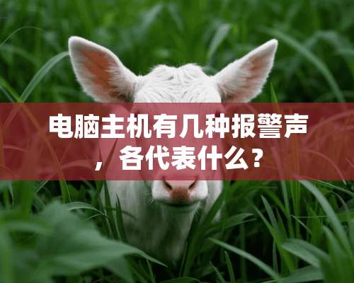 电脑主机有几种报警声，各代表什么？