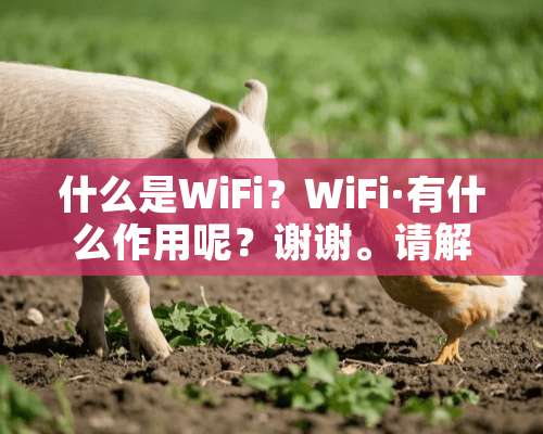 什么是WiFi？WiFi·有什么作用呢？谢谢。请解答。