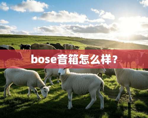 bose音箱怎么样？