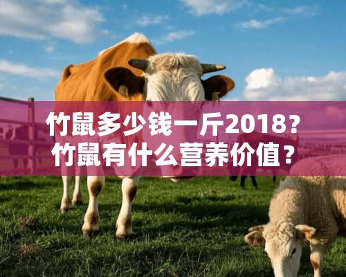 竹鼠多少钱一斤2018？竹鼠有什么营养价值？