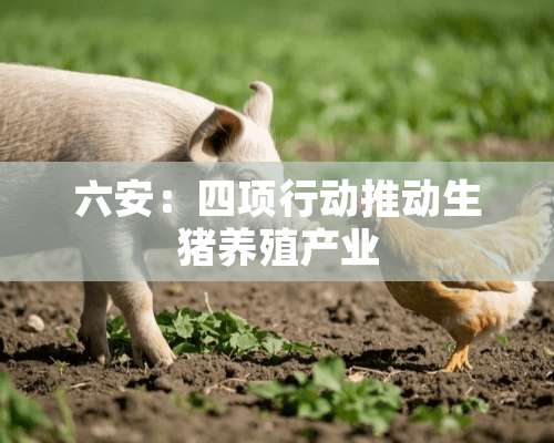 六安：四项行动推动生猪养殖产业