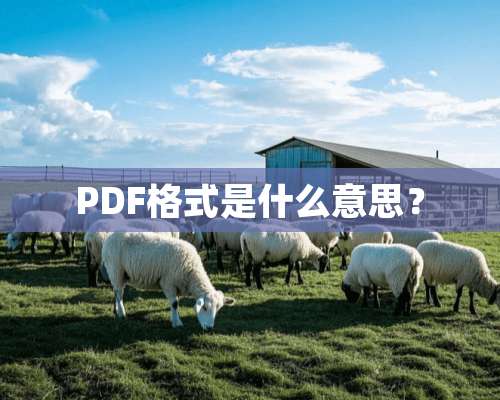 PDF格式是什么意思？