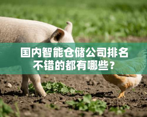 国内智能仓储公司排名不错的都有哪些？