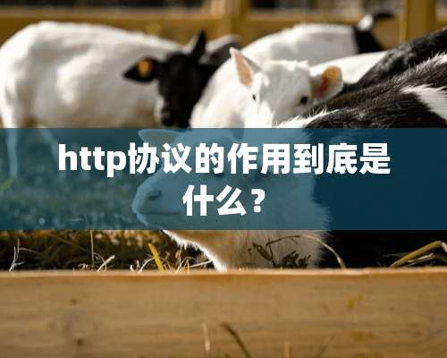 http协议的作用到底是什么？