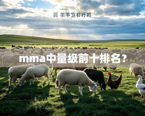 mma中量级前十排名？