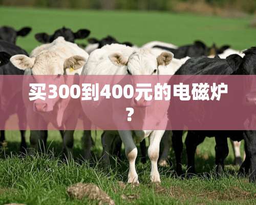 买300到400元的电磁炉？