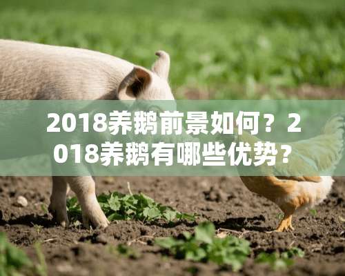 2018养鹅前景如何？2018养鹅有哪些优势？