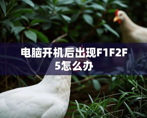 电脑开机后出现F1F2F5怎么办