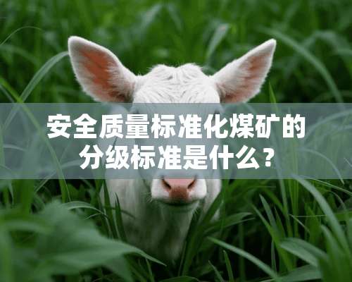 安全质量标准化煤矿的分级标准是什么？