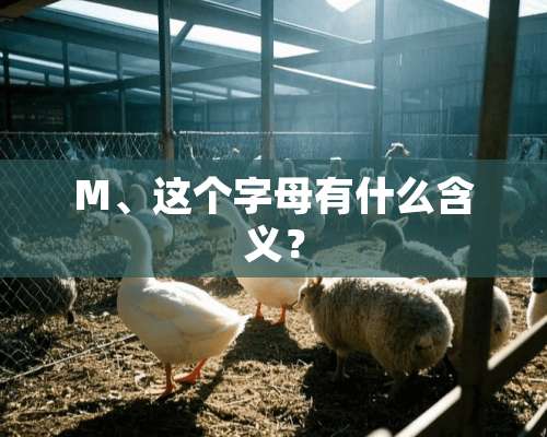 M、这个字母有什么含义？