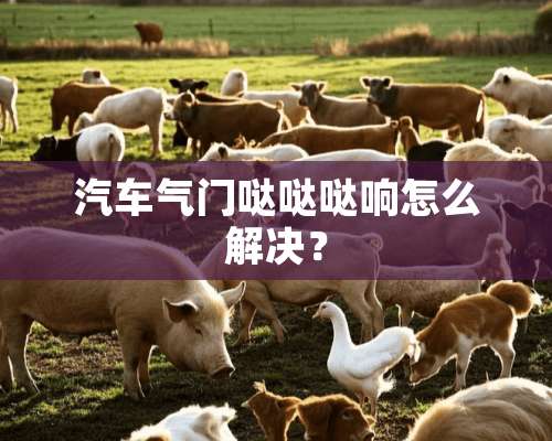 汽车气门哒哒哒响怎么解决？