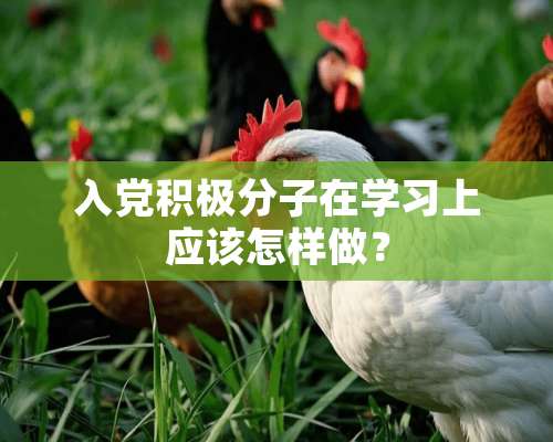 入*积极分子在学习上应该怎样做？