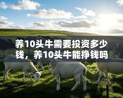 养10头牛需要投资多少钱，养10头牛能挣钱吗？