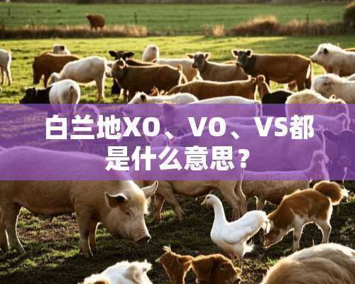 白兰地XO、VO、VS都是什么意思？