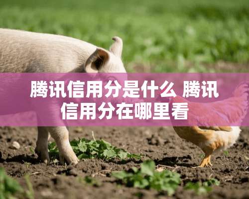 腾讯信用分是什么 腾讯信用分在哪里看