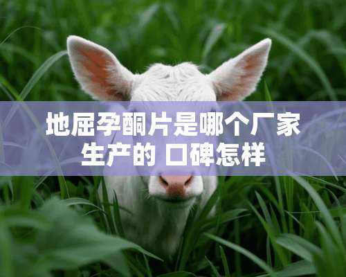 地屈孕酮片是哪个厂家生产的 口碑怎样