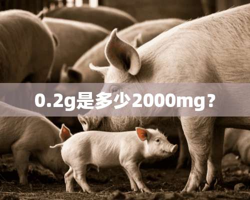 0.2g是多少2000mg？